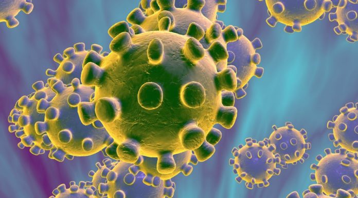 20 preguntas globales del Coronavirus