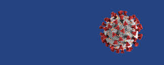 “La razón de la sinrazón” y el Coronavirus