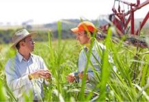 Plan emergente para el Agro Nacional Bayer.mex